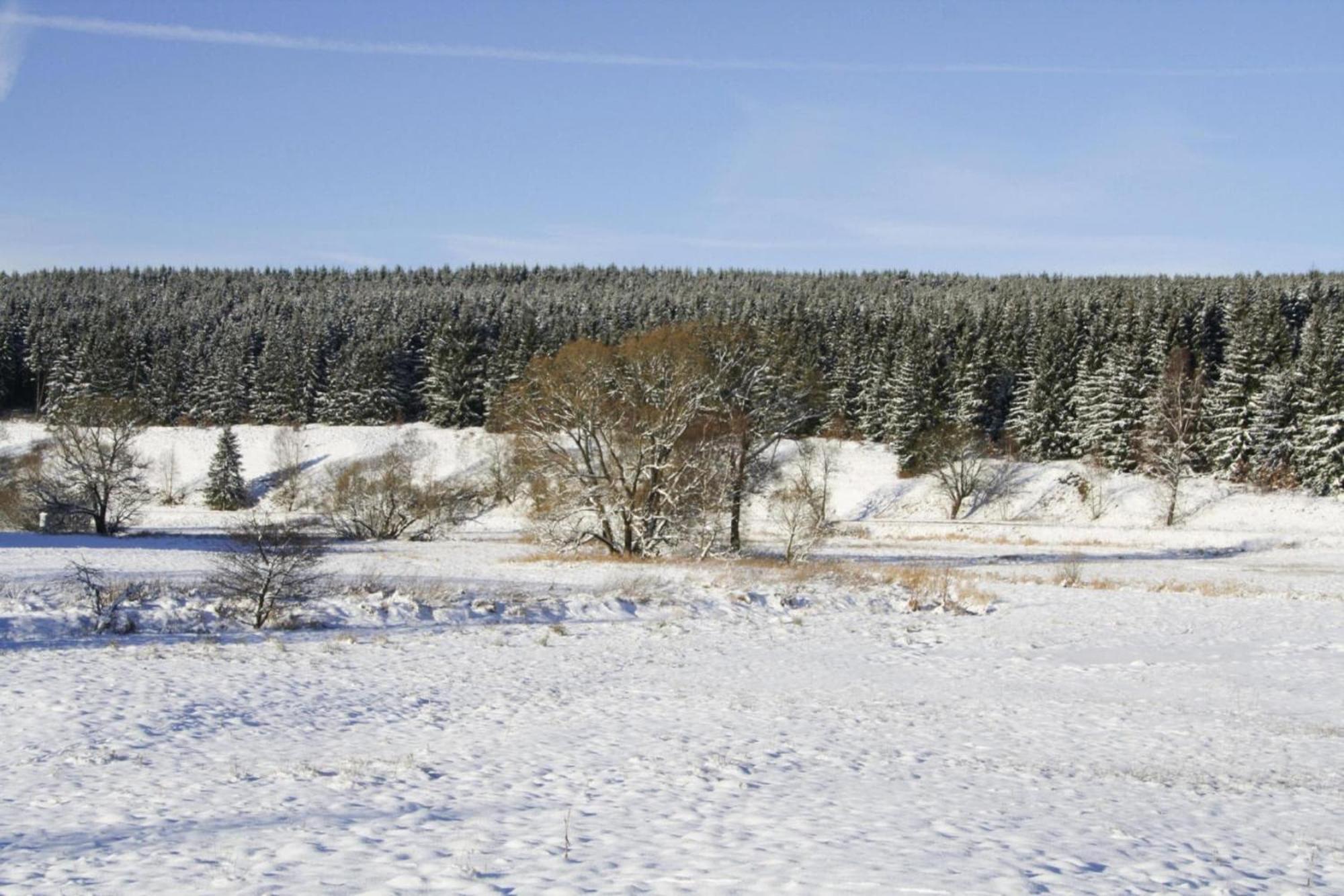 Apartment Braunlage Exterior foto